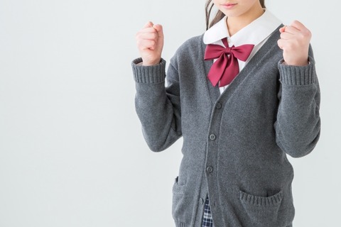 【画像】これが北朝鮮の”JK”www