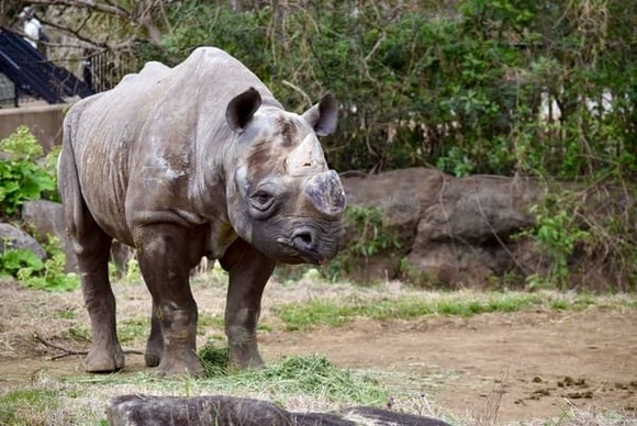 【画像】いい天気だから動物園に行ったった
