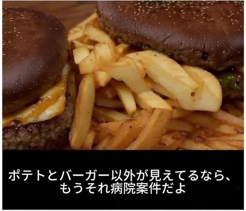 【画像】ポテトとハンバーガー以外が見えたら病院案件らしいwww