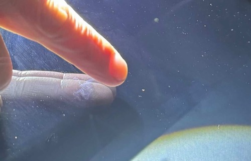 【悲報】ニコニコレンタカーさん、8.8万の飛び石請求をしてしまい大炎上中www