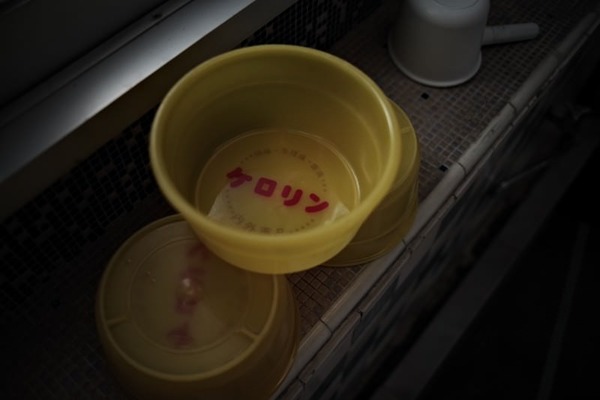 ←2階大浴場(女) ワイ「はえー大浴場2階か。早速行ったろw」⇒結果！！