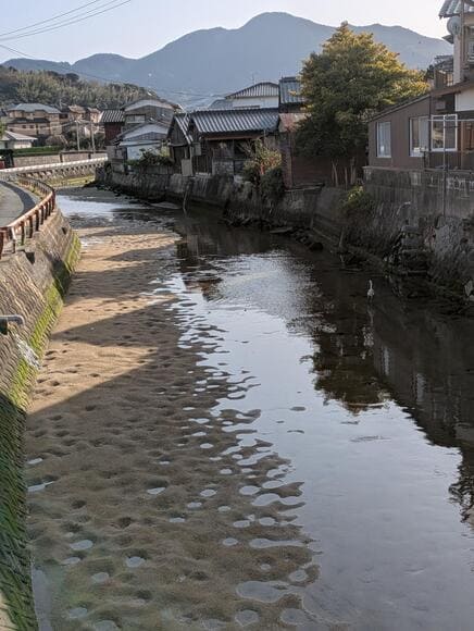 【画像】1人で牡蠣小屋いる
