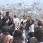 【高市朗報】観光公害で桜まつり中止を決めた富士吉田市、お構い無しに観光客が大挙して終わるwww