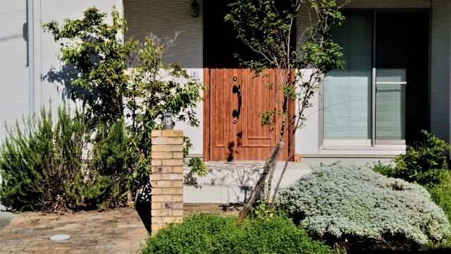 家の庭に赤ちゃんの遺体を遺棄… 15歳の女子中学生を逮捕