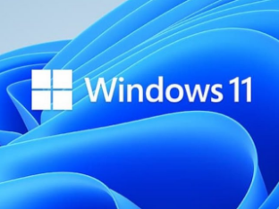 windows11「軽量化、縦タスクバー復活、MSアカ不要化、不要な機能廃止、これで満足か？」