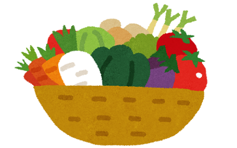 ヴィーガン生活を1ヶ月頑張った結果www