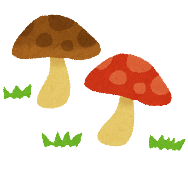 マッマ「昆布、干し椎茸はケチるな」ワイ「んなわけないやろ…」