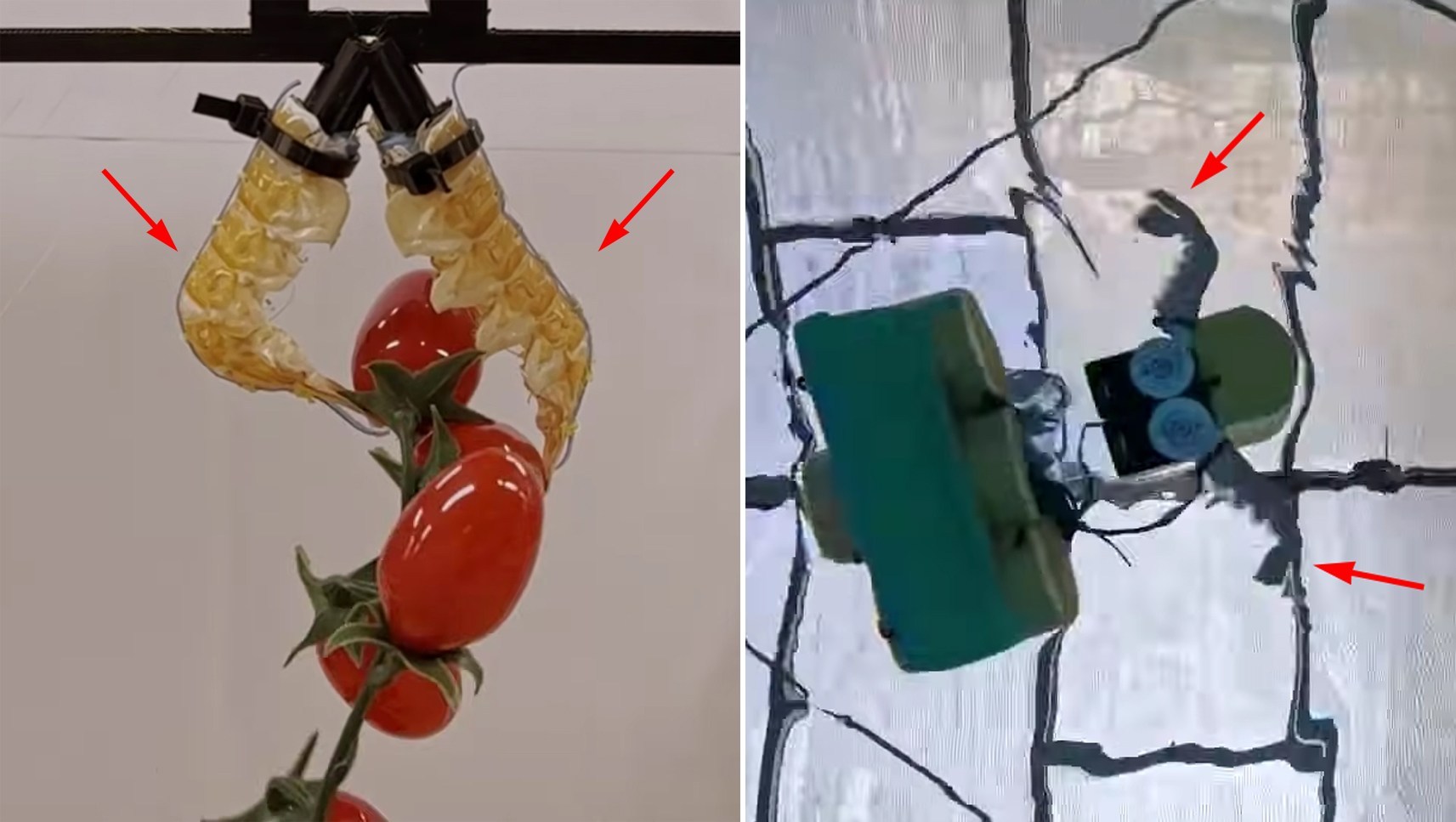 死んだエビの殻をロボット部品に再利用「 ネクロボティクス」