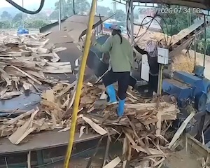 【衝撃】ベトナムで女性作業員が木材粉砕機に飲み込まれてしまう事故。