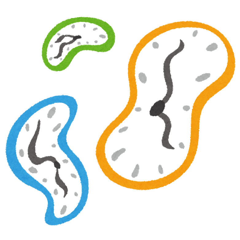 今の知識を持って江戸時代にタイムスリップしたら天下を取れるのか？