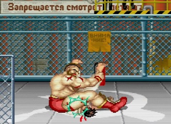 ストリートファイターってゲームやってるんだが日本人はプロレスラーのことなんだと思ってるの？こんなの偏見の塊だよ