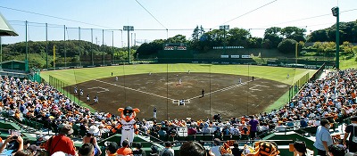 【悲報】巨人ファン、ミセスファンに馬鹿にされまくってしまうｗｗｗ