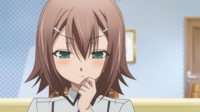 「バカとテストと召喚獣で1番抜けるキャラは？」ホモ「秀吉」バカ「秀吉」明久「秀吉」