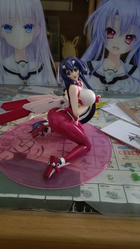 【画像】フィギュア買ってきたさん、飾る場所がキツすぎる