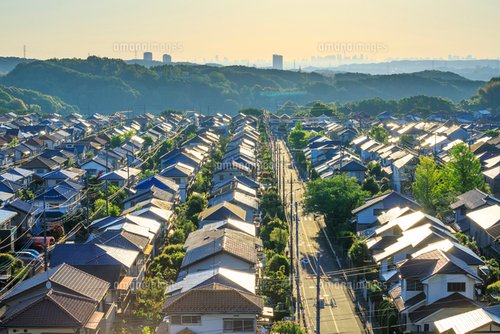 【悲報】謎音「ﾊﾟｧﾝ！」謎鳥「ﾎｰﾎｰ」謎シャッター「ｶﾞﾗｶﾞﾗｶﾞﾗ！」←こいつら