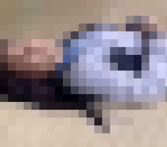 【閲覧注意】薬物でラリってる平均的中国人ですら佐々木希クラスだったwww