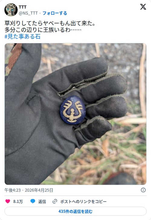 【画像】草刈りしてたら飛行石そっくりの石が出土してしまう