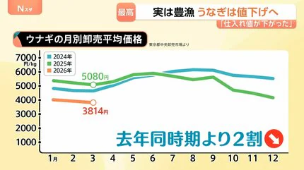 【朗報】うなぎ豊漁でめっちゃ安く買える