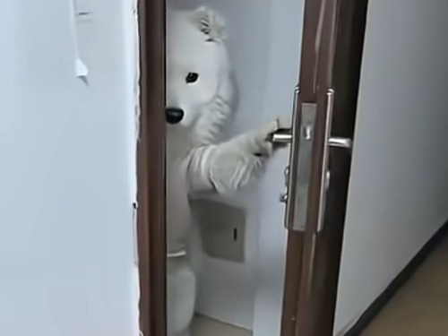 「うちの犬は帰宅するとドアを開けて覗き見してくるけど…」→素直に閉じてくれる（動画）