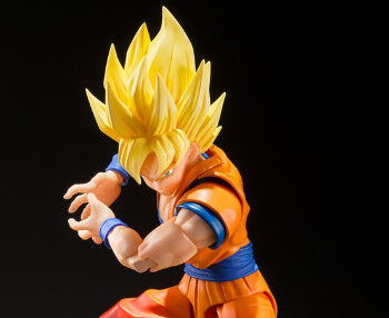 「かめはめ波が撃てる」or 「 空を飛べる」、どっちの能力が欲しい？