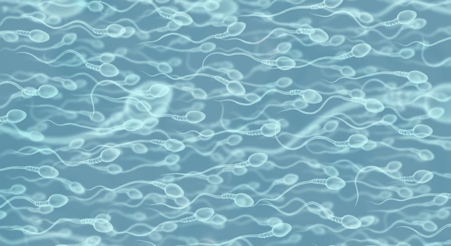 男性用避妊薬の『やめれば完全元通り』をマウスで実証