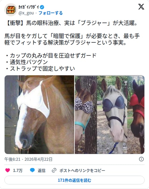 【画像】馬の眼科治療さん、最適な保護具がブラジャーだった