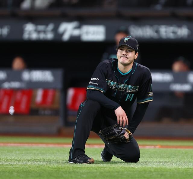 日本ハムファイターズ、ソフトバンクに5連敗←これwww