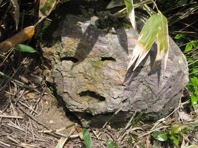 【ガチで怖い】後から効いてくるコピペ貼ってけ