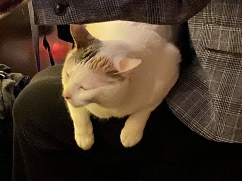 私「夫が何ヶ月も抱いてくれないの・・・もう私に飽きたのかな（泣）」友人「かわいそうに・・・（ギュッ）」そして関係を持ってしまった私達。→昨日、夫が衝撃の一言を・・・