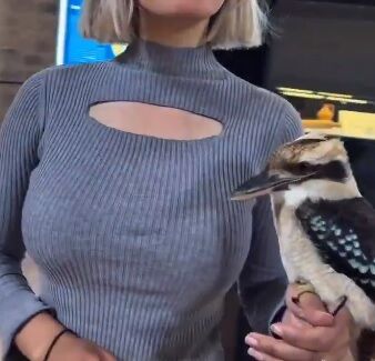 【動画】乳がデカい鳥使いの女性が話題にwww