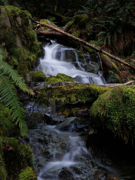 有識者「山で遭難したら川沿いに下れ」←川は必ず麓へ繋がっているかららしいな