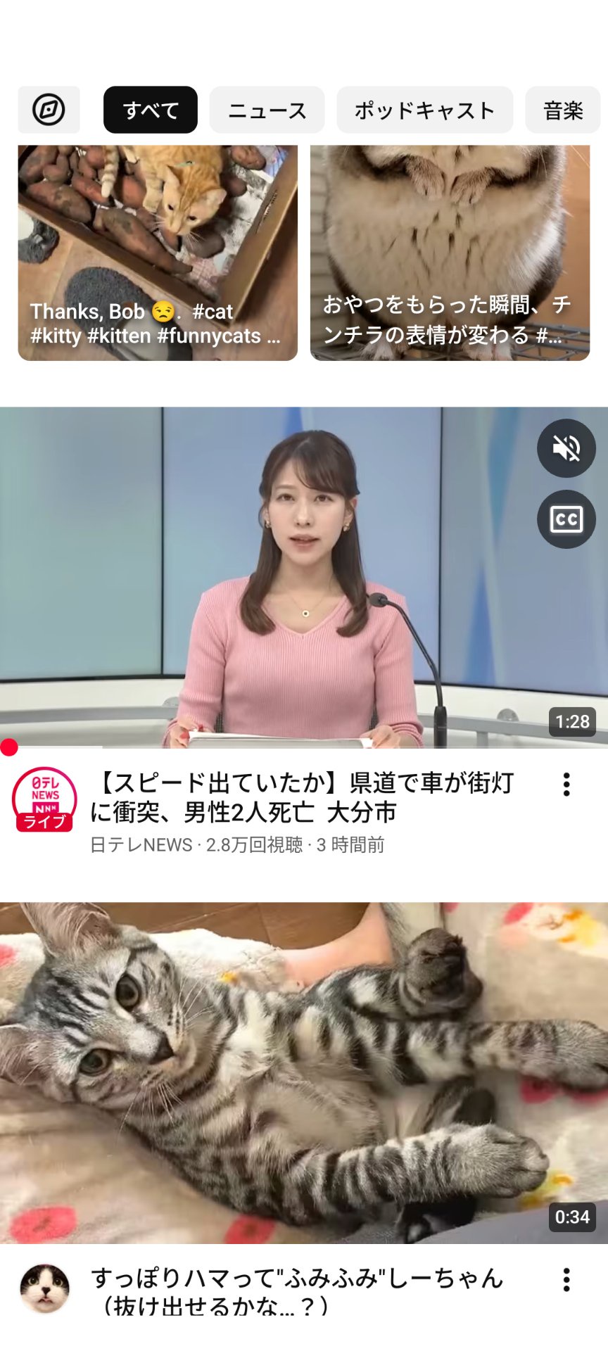 【お知らせ】大分のアナウンサーがおっぱい大きい