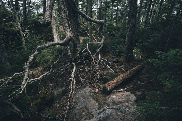 【画像あり】京都府南丹市の遺体発見現場、ゴミ捨て場と化す･･･