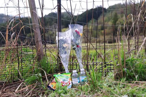 【画像】京都府南丹市の山林、善意の供え物でゴミ捨て場にされてしまう