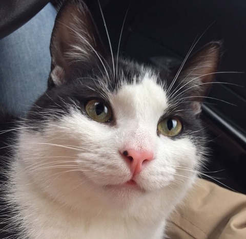 【クズ】アパートの廊下の奥から彼氏の怒鳴り声が聞こえてきた！何事かと思って廊下の電気をつけたら、彼氏が怒鳴りながら、私の祖母を蹴っていた！