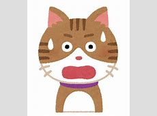 アイドル「来週29歳になります、誰か貰ってください」 自撮りショットにネット衝撃！「小学生にしか見えん」