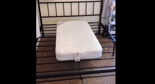 【動画】TEMUの商品を購入したアメリカ人www