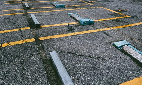 【画像】女さん「駐車成功しました！ｗ」･････ﾊﾟｼｬ!!