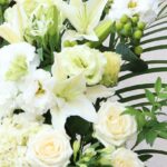 タモリ死去