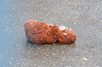 【画像】パンチくん、親代わりのぬいぐるみを捨ててメスザル相手に腰をﾍｺﾍｺしてしまうwww