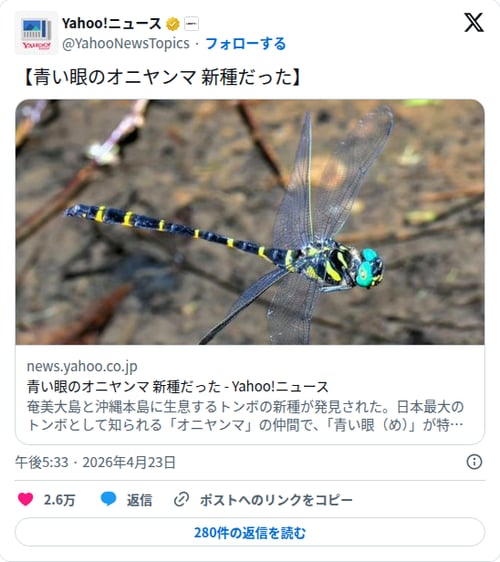 【朗報】青い眼のオニヤンマさん、実はずっと新種だったことが判明してしまう