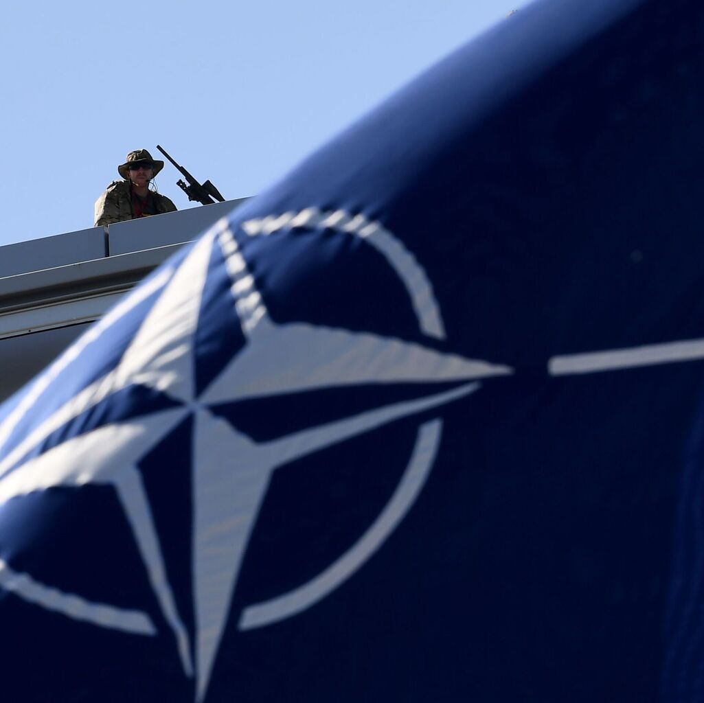 NATO30カ国　緊急訪日