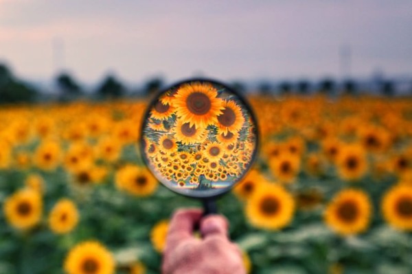 【画像】この図、育った環境で『見え方が全く違う』らしい⇒・・！