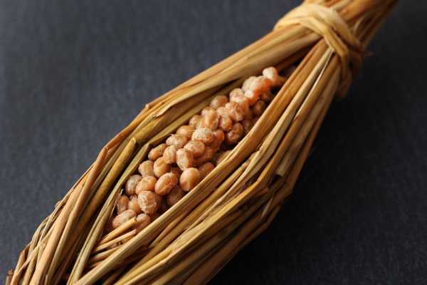 令和納豆「1万円で一生食べ放題だからって毎日来るなよ。経営成り立たないだろ。常識で考えろ」←これ