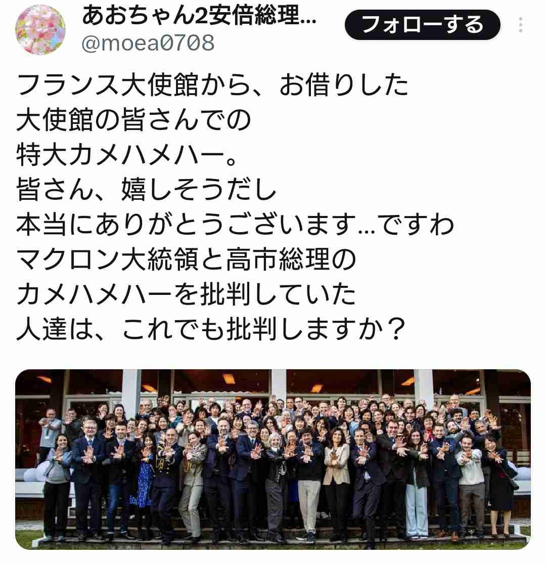 パヨク「カメハメハ？ふざけてんの？」 →フランス大使館一堂「特大カメハメハー」