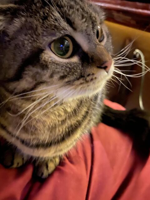 【報告者キチ】ぬいぐるみ大好きなコトメが気持ち悪い。娘がそのぬいぐるみを欲しがったのでコトメのいない隙にありがたく頂いたらコトメ大暴れ！まったく、２０歳にもなって・・・。