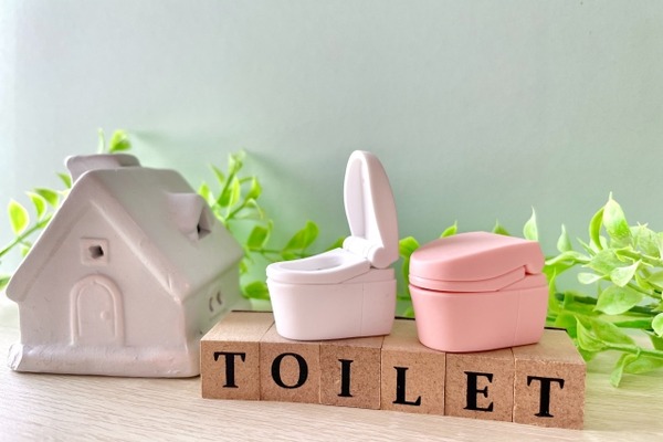 【悲報】俺「新築のトイレは和式にしよう。」嫁「嫌ああああああ！！！」メリットを説明しても納得しないんだが！⇒！