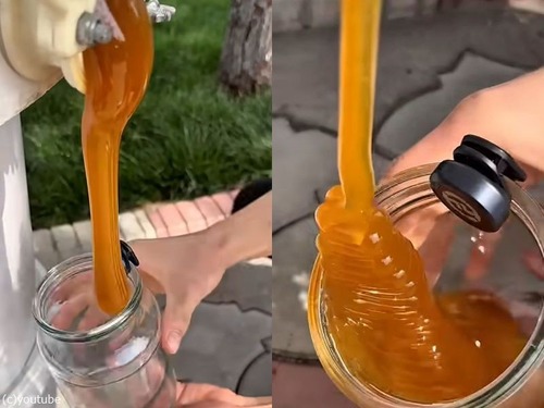 ハチミツってこんなことになるんだ…瓶に移す達人のテクニック（動画）