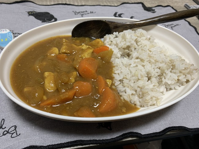 【画像】実家のカレーがこういうタイプだった奴www