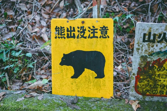 東京はすでにクマに囲まれている…専門家が｢ここまで侵入する可能性がある｣と警鐘を鳴らす要警戒エリア